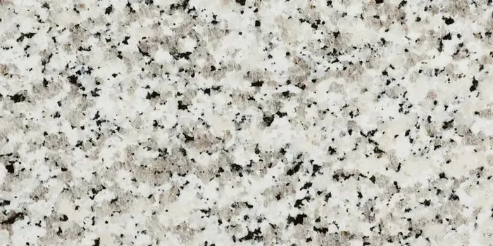 Bianco Sardo granite countertop sample